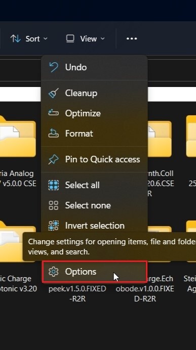 How to Access Hidden Files Folders 1