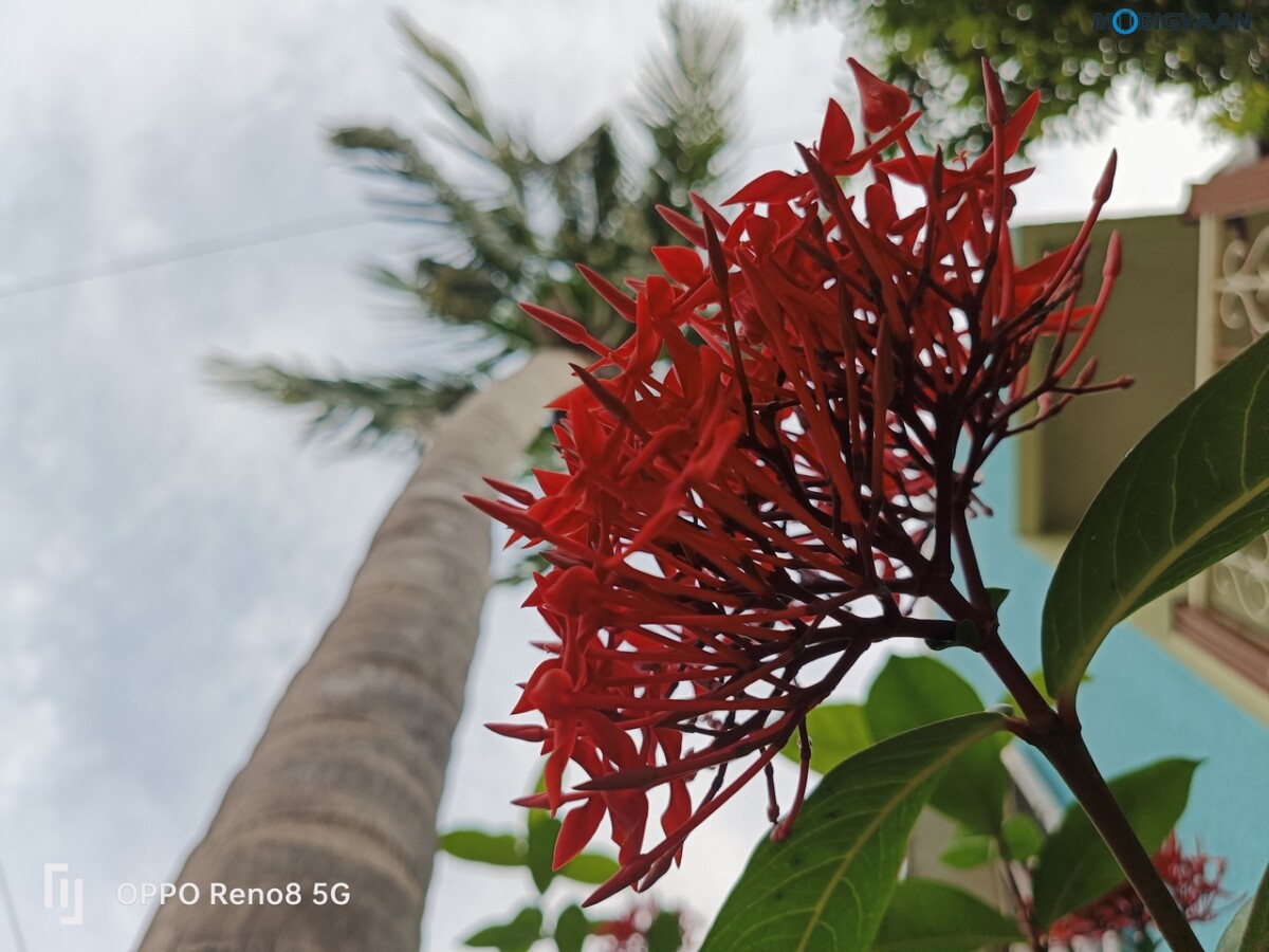 OPPO Reno8 5G Review Camera Samples 30