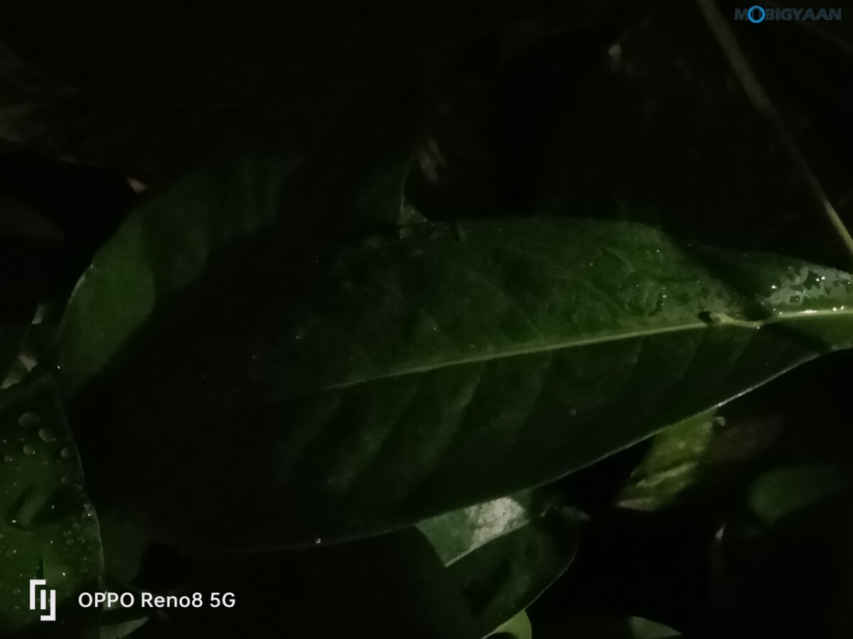 OPPO Reno8 5G Review Camera Samples 37