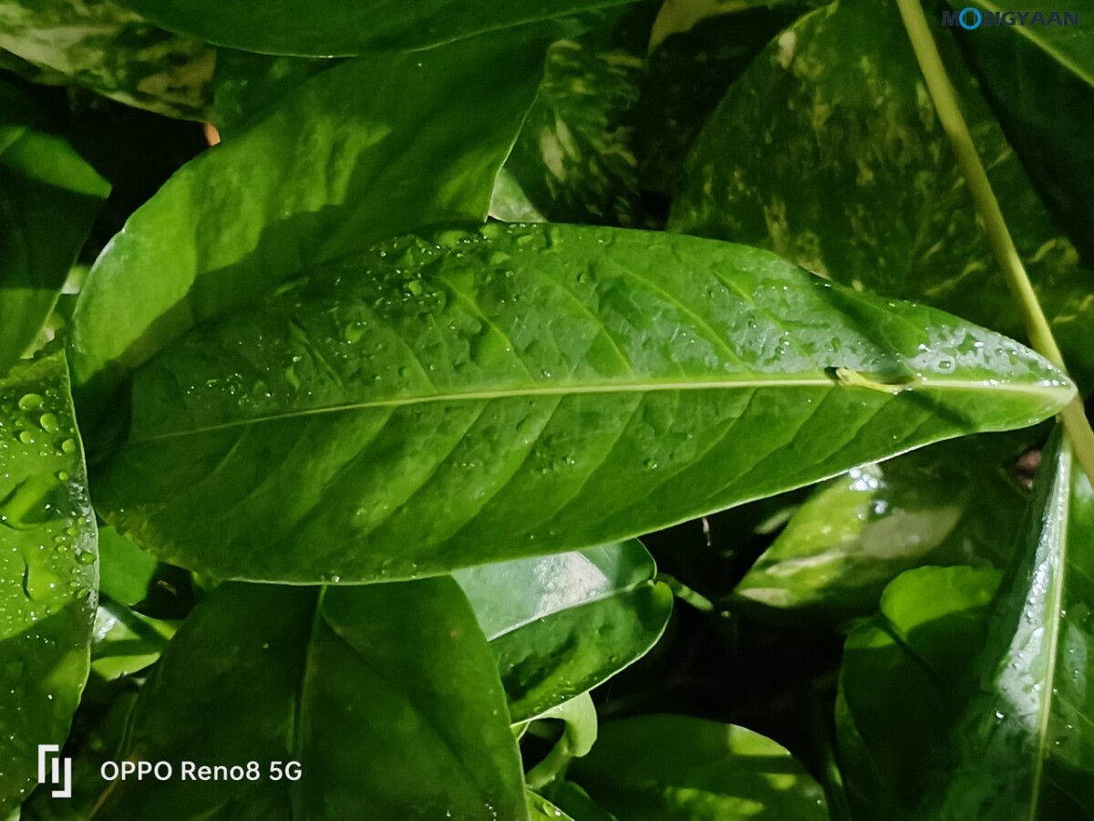 OPPO Reno8 5G Review Camera Samples 38