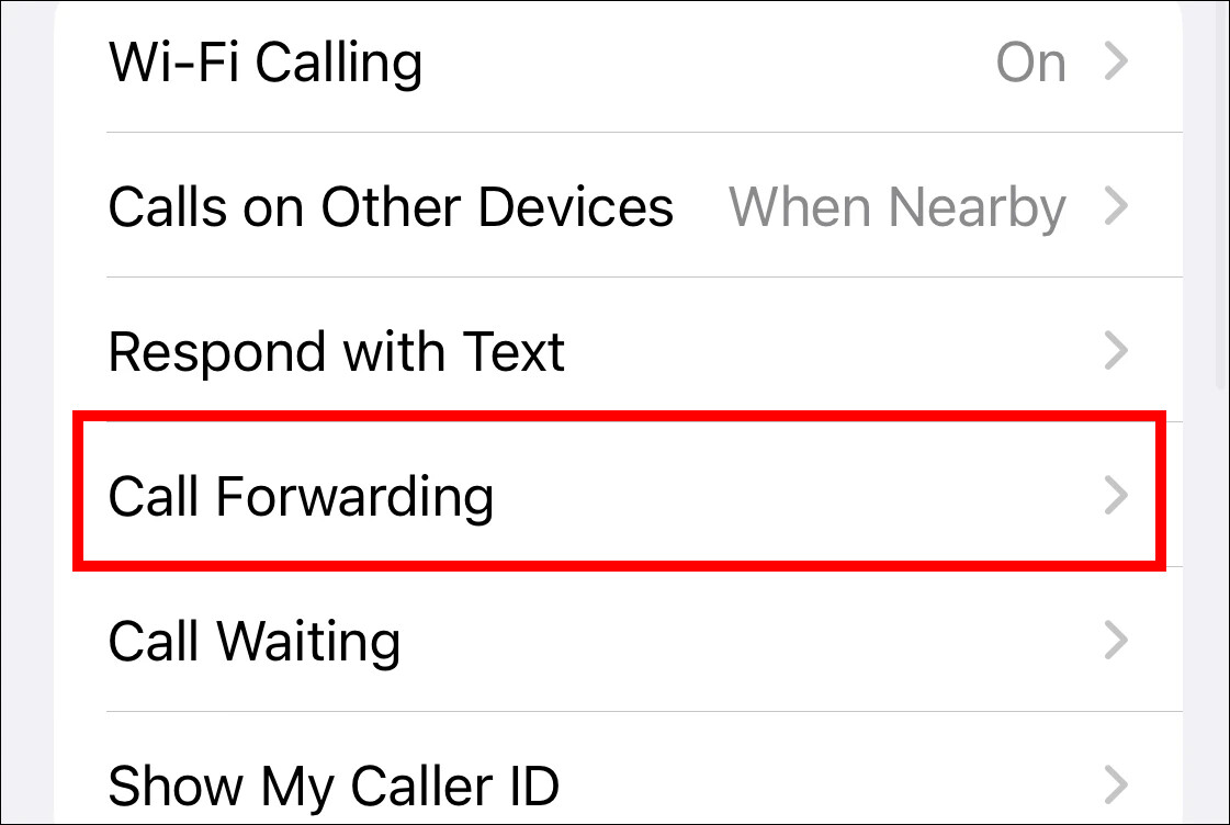 Apple iPhone Call Forwarding