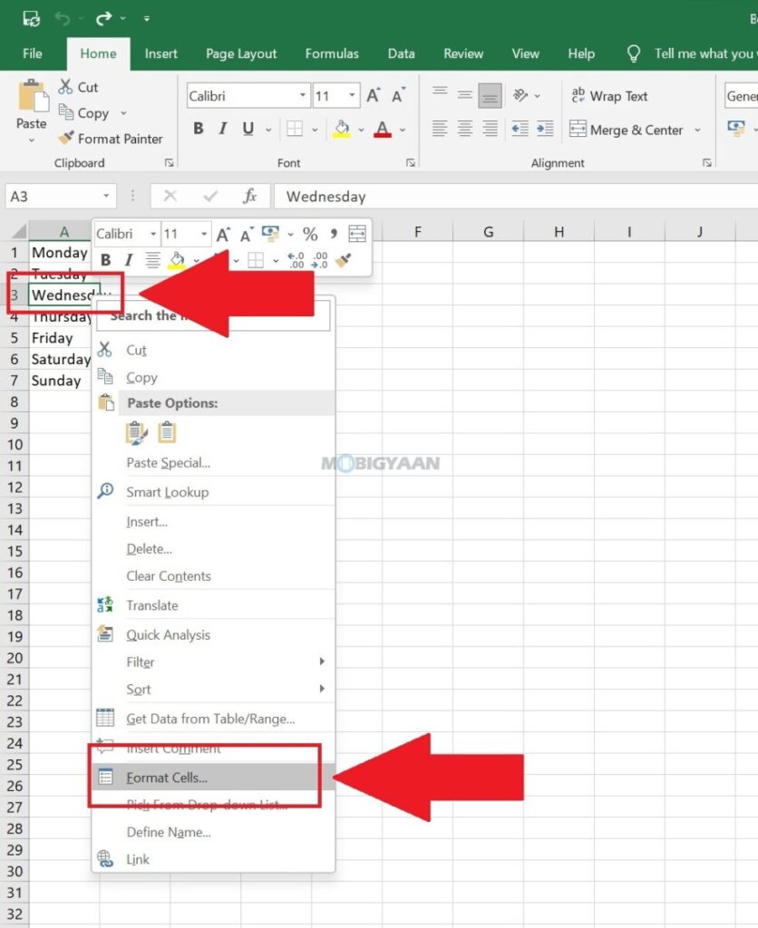 How to hide cell data in Microsoft Excel 5