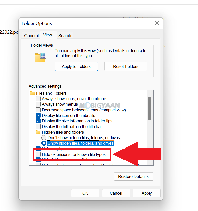 How to show file extensions in Windows 11 2