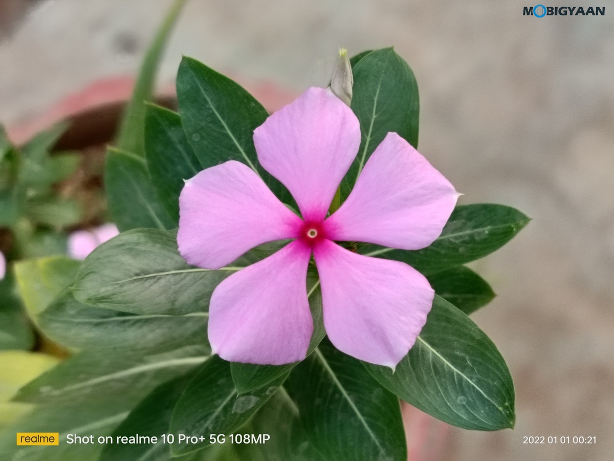 realme 10 Pro Plus 5G Review Camera Samples 2 1