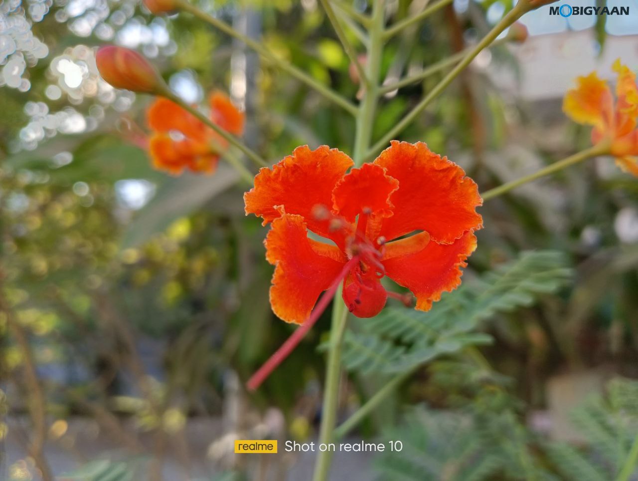 realme 10 Review 4G Camera Samples 1