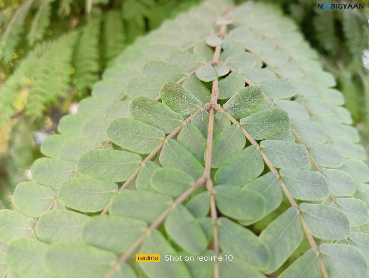 realme 10 Review 4G Camera Samples 10