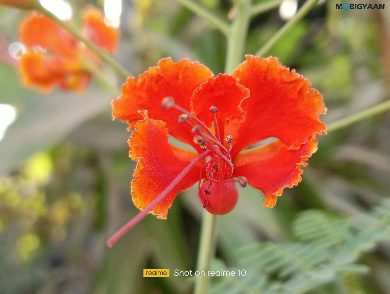 realme 10 Review 4G Camera Samples 2