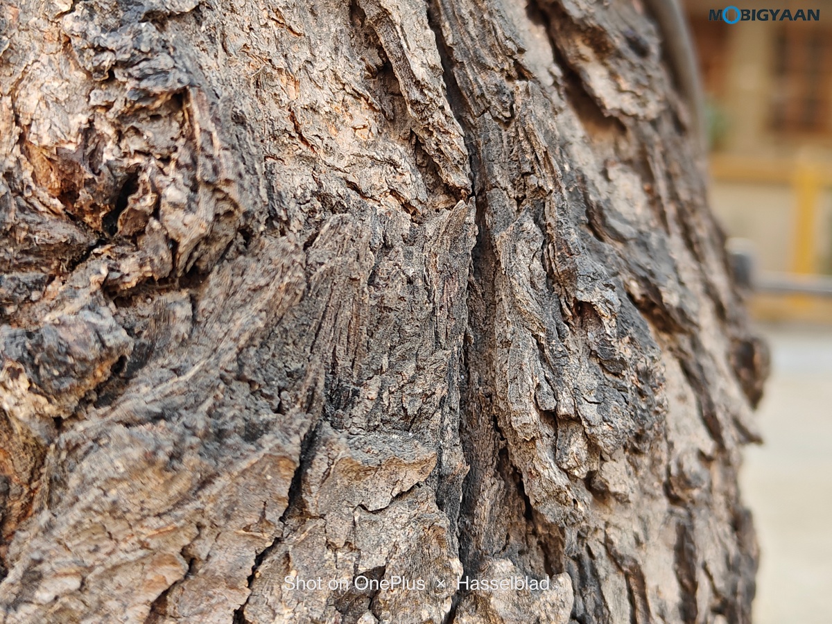 OnePlus 11 5G Review Camera Samples 22