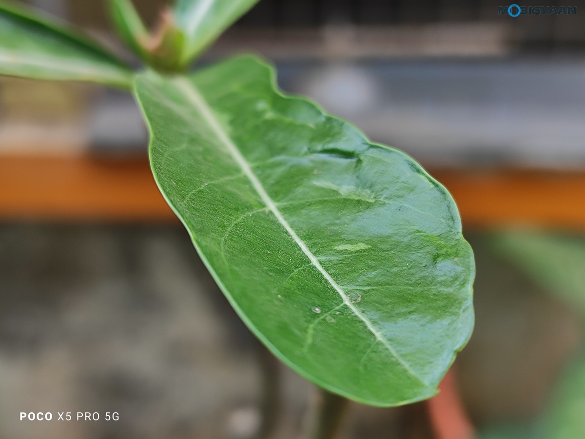 POCO X5 Pro 5G Review Camera Samples 19