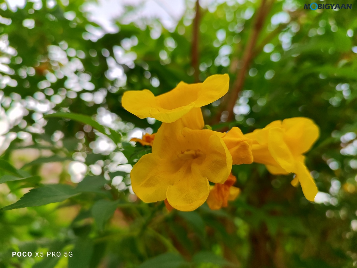 POCO X5 Pro 5G Review Camera Samples 29