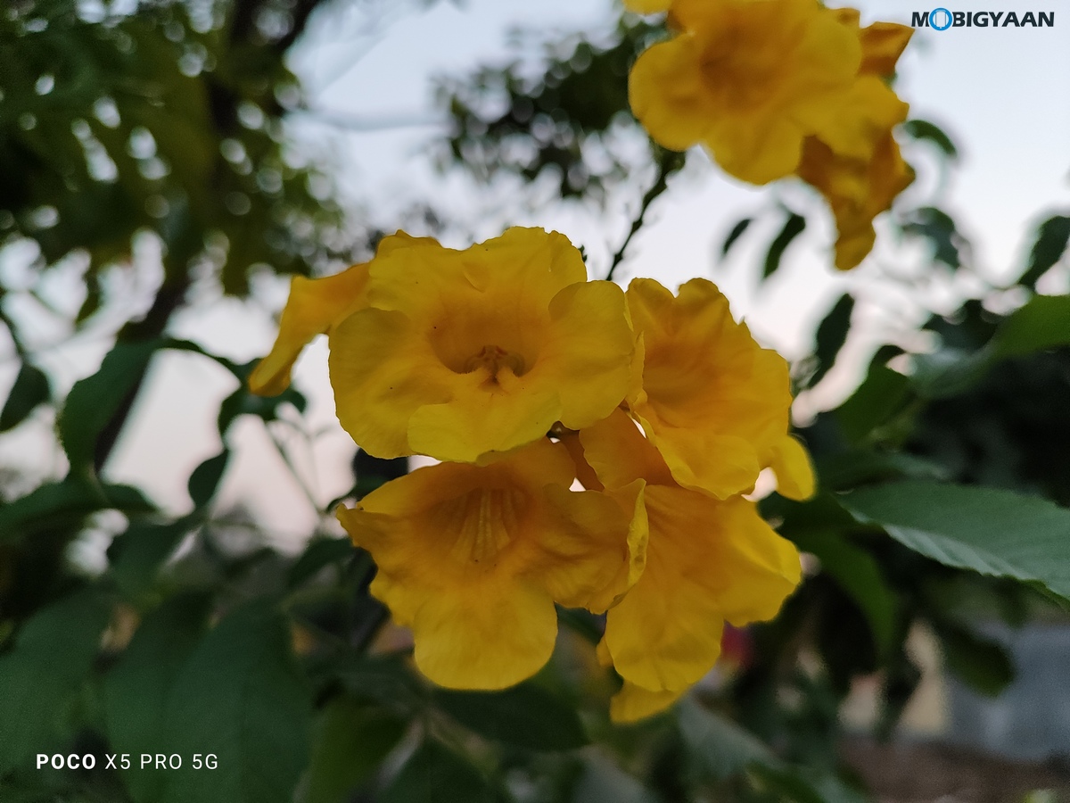 POCO X5 Pro 5G Review Camera Samples 6