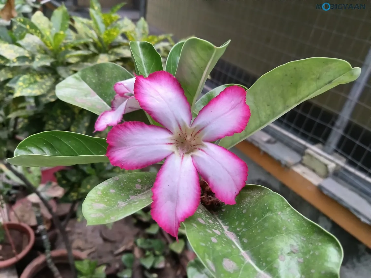 OnePlus Pad Review Tablet Camera Samples 3
