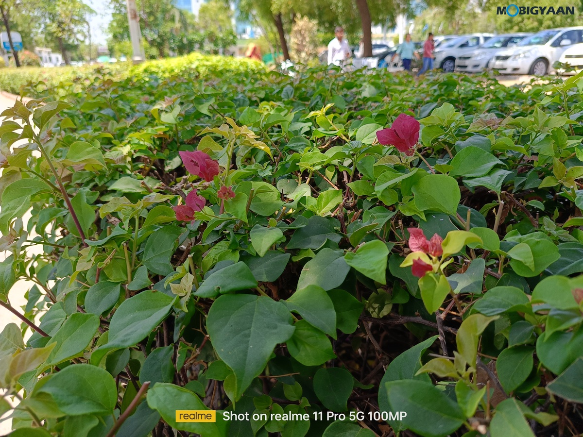 realme 11 Pro 5G Review Camera Samples 10 1