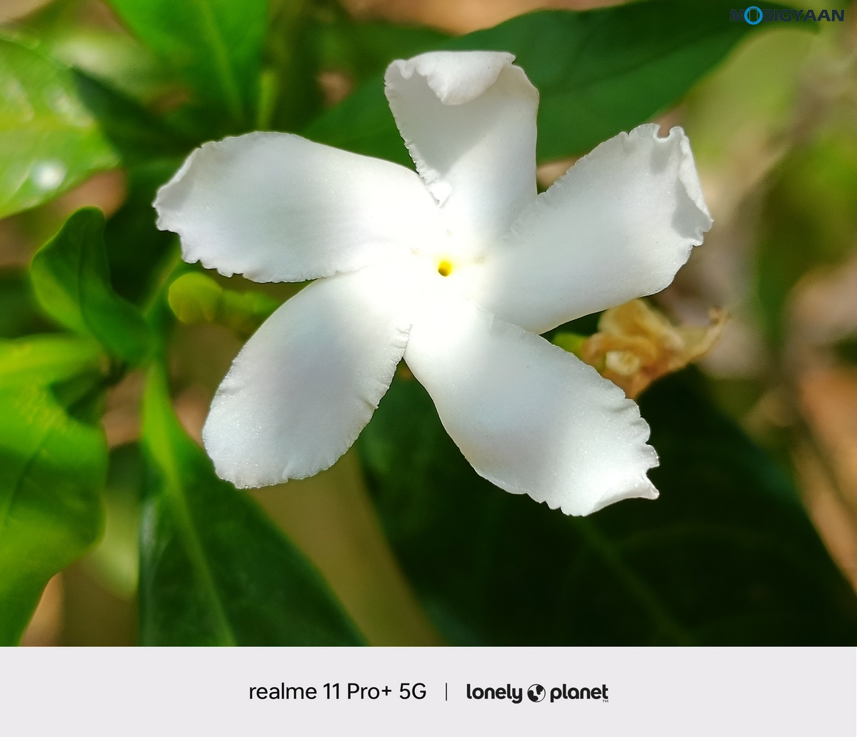 realme 11 Pro 5G Review Camera Samples 14