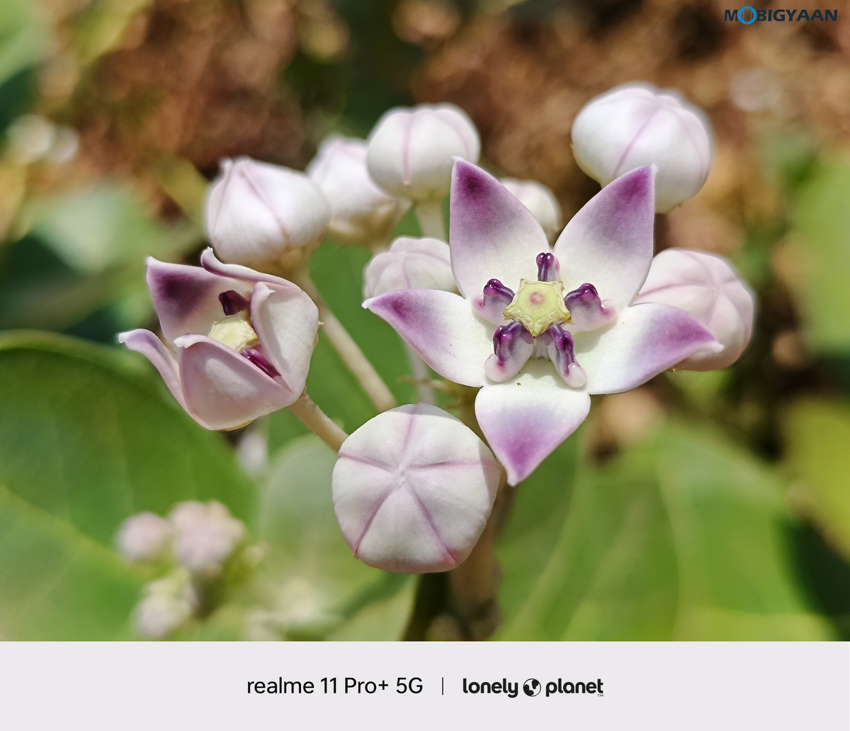 realme 11 Pro 5G Review Camera Samples 21