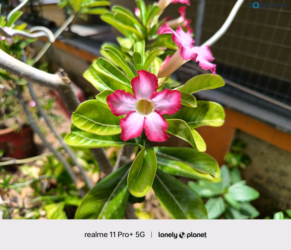 realme 11 Pro 5G Review Camera Samples 6