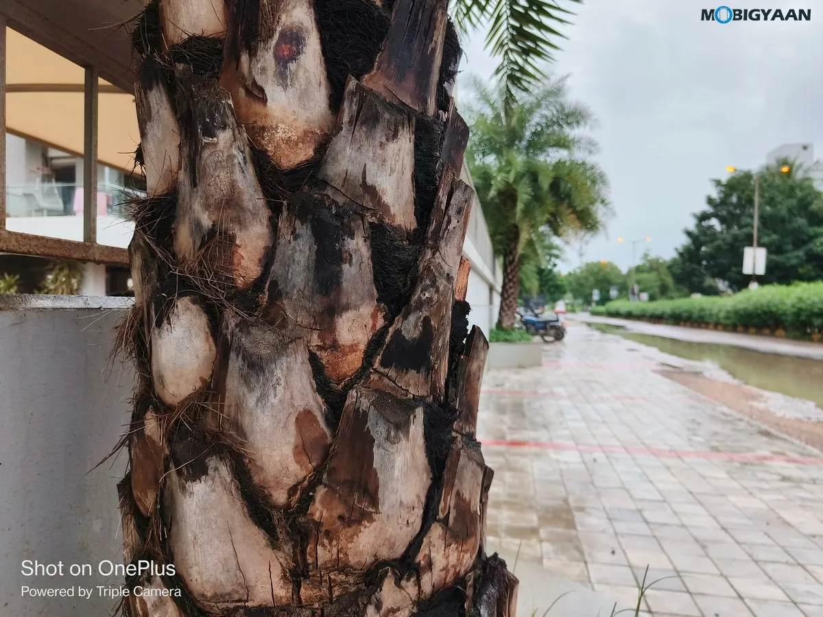 OnePlus Nord 3 5G Review Camera Samples 11