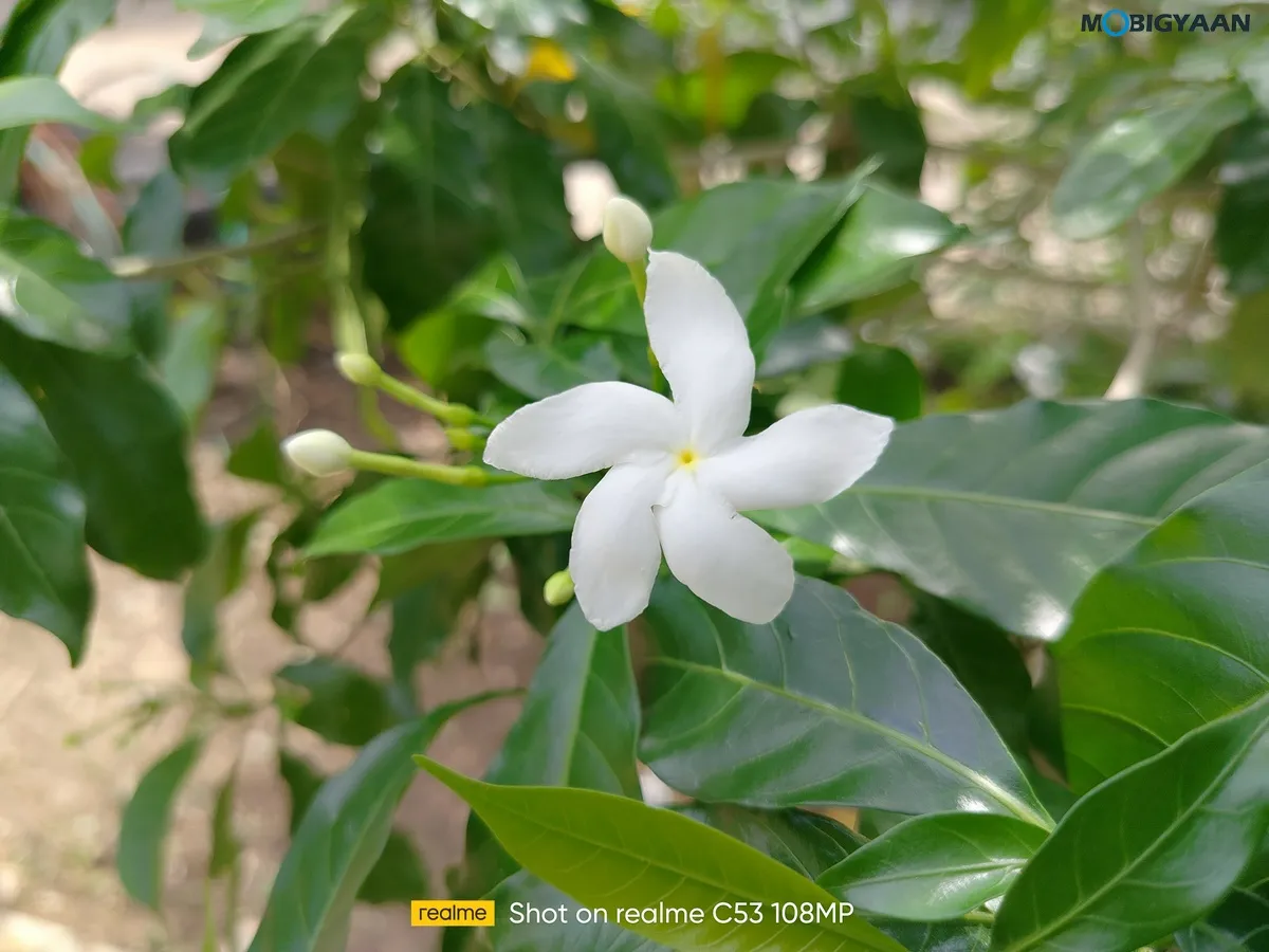 realme C53 Review Camera Samples 17