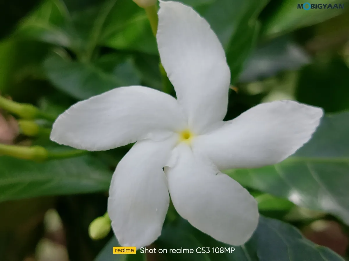 realme C53 Review Camera Samples 18