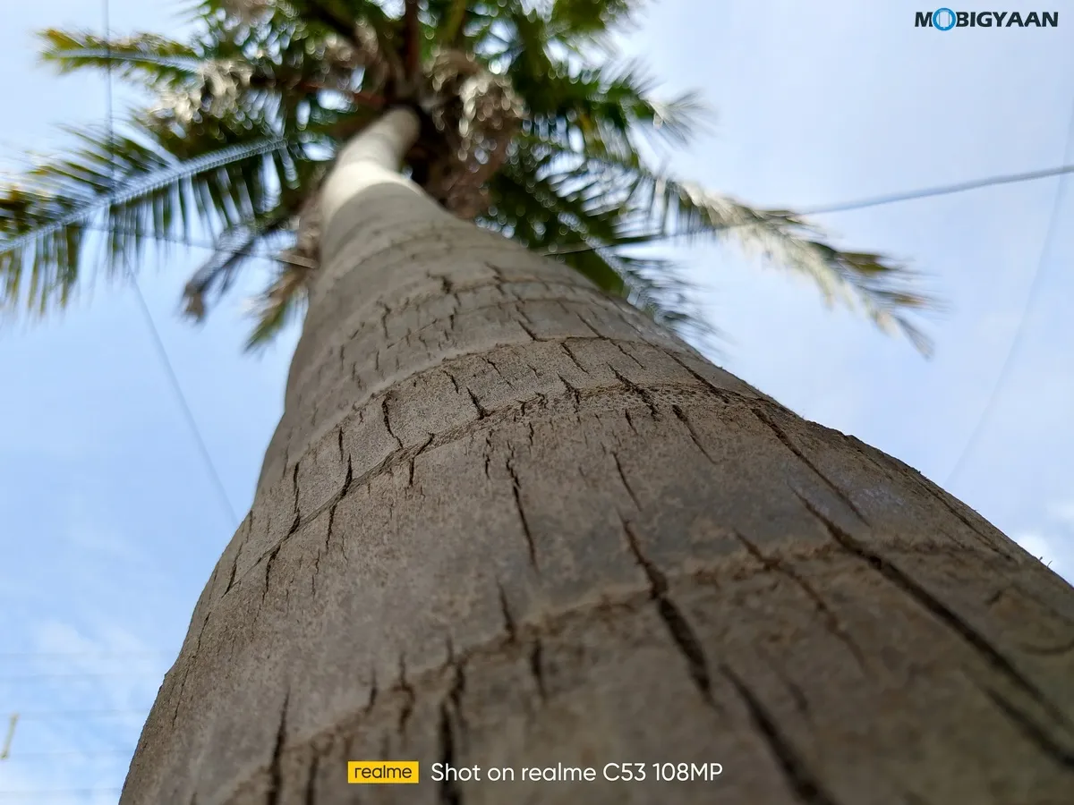 realme C53 Review Camera Samples 2