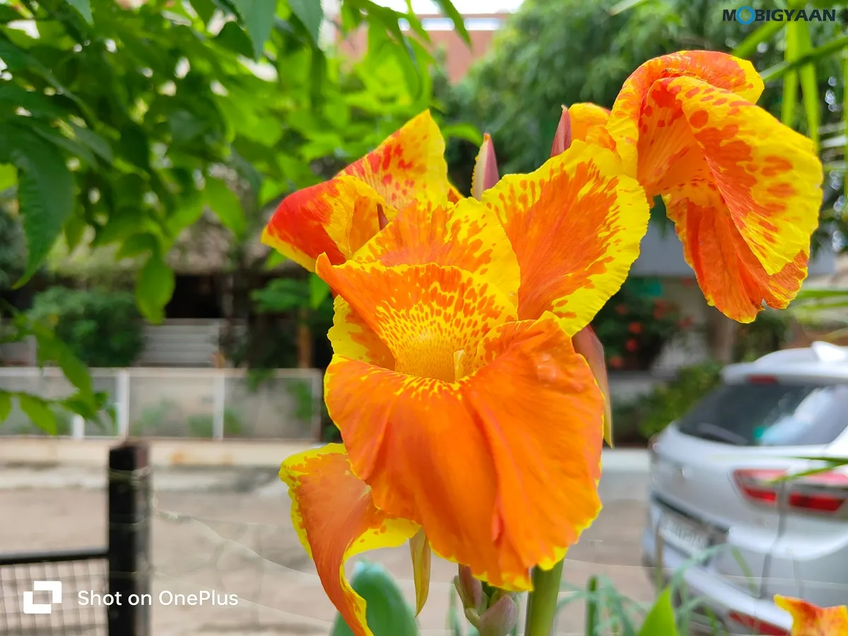 OnePlus Nord CE3 5G Review Camera Samples 11