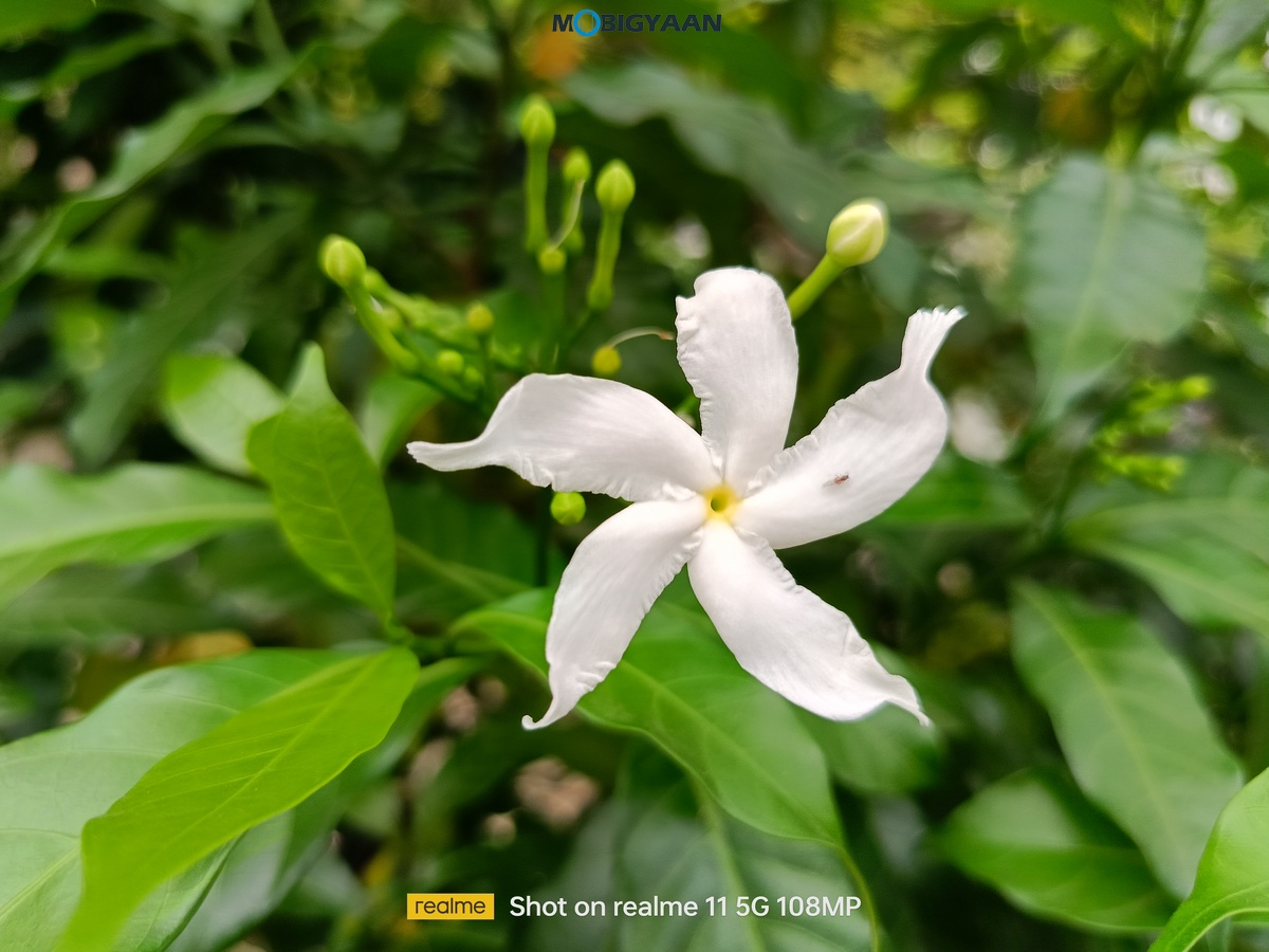 realme 11 5G Review Camera Samples 11