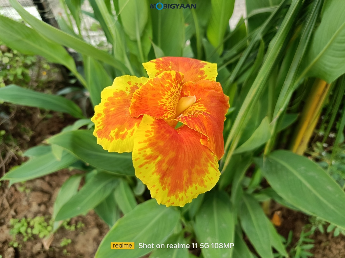 realme 11 5G Review Camera Samples 9