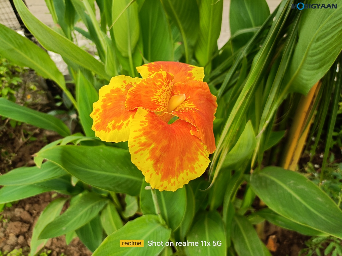 realme 11x 5G Review Camera Samples 7