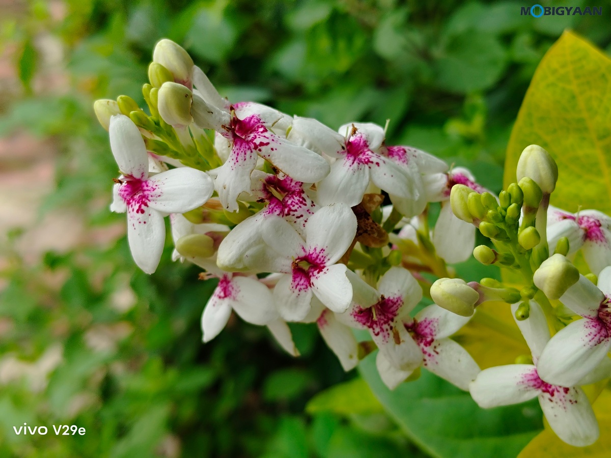 vivo V29e Review Camera Samples 14