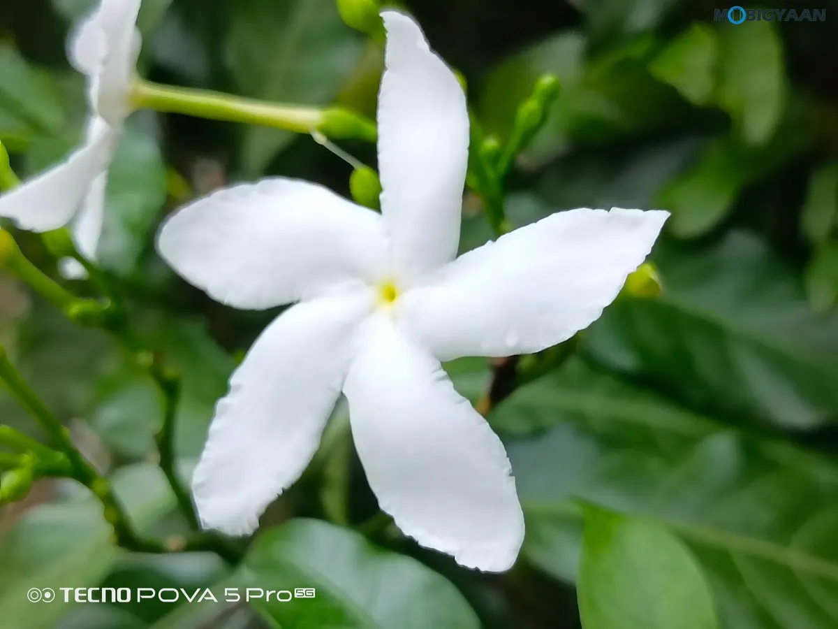 TECNO POVA 5 Pro 5G Review Camera Samples 6