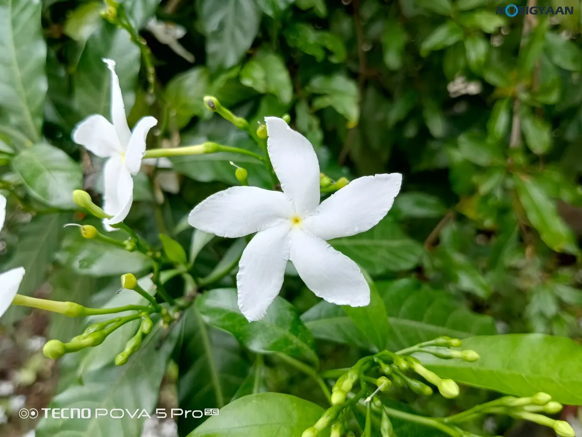 TECNO POVA 5 Pro 5G Review Camera Samples 7