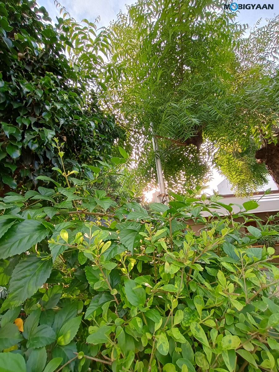 moto G54 5G Review Camera Samples 2