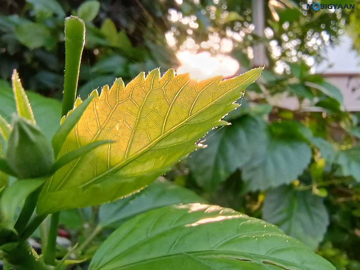 moto G54 5G Review Camera Samples 7