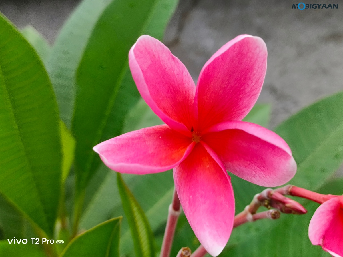 vivo T2 Pro 5G Review Camera Samples 10