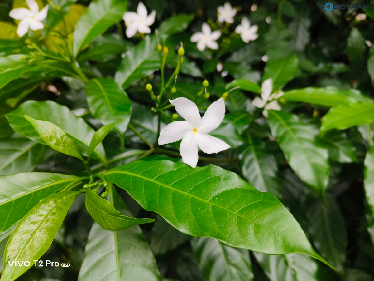 vivo T2 Pro 5G Review Camera Samples 6