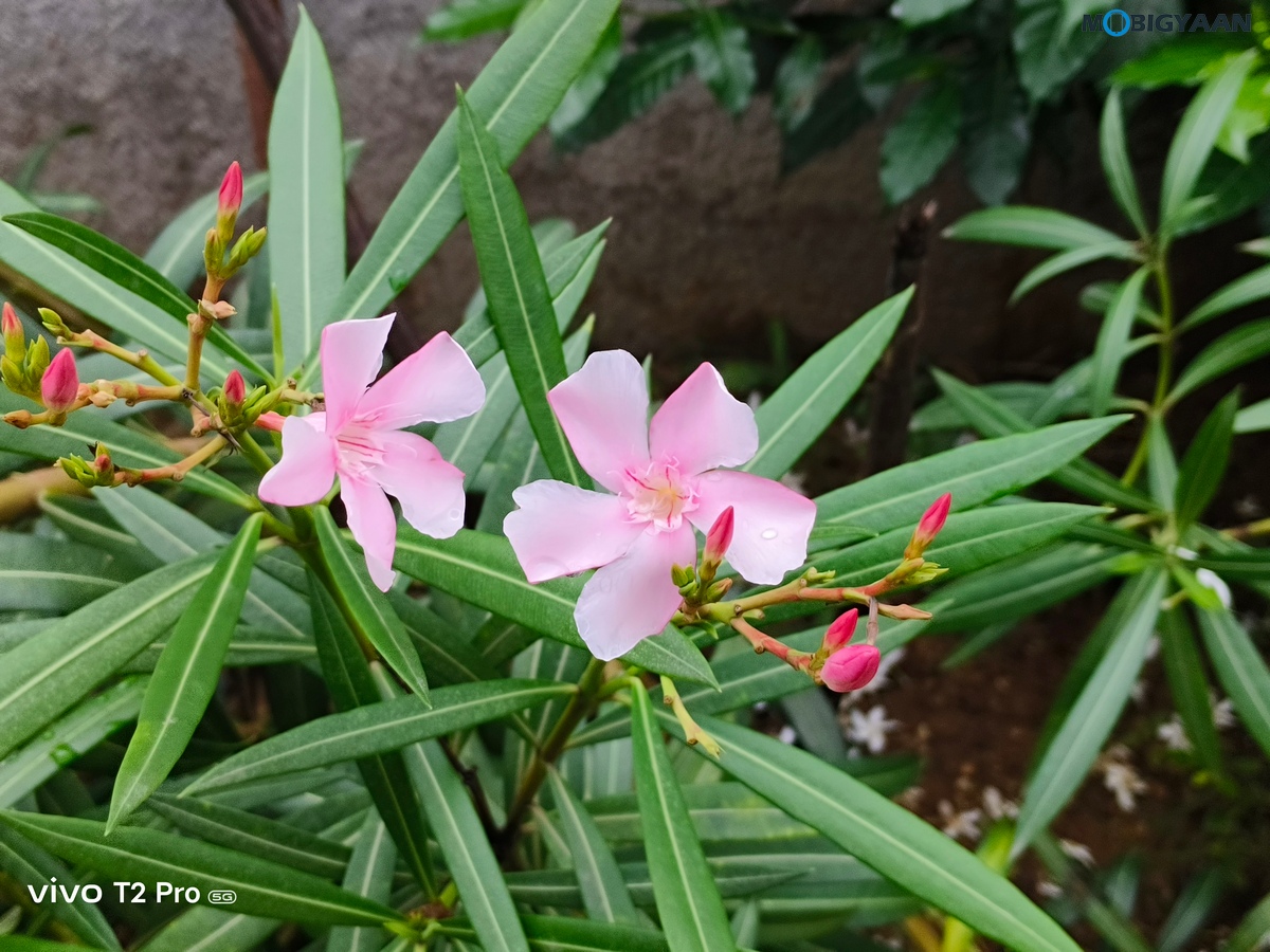 vivo T2 Pro 5G Review Camera Samples 8