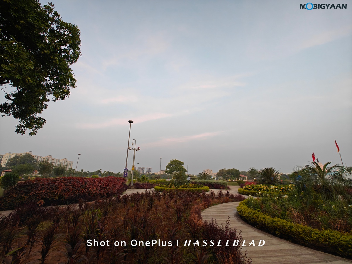 OnePlus Open Review Camera Samples 29