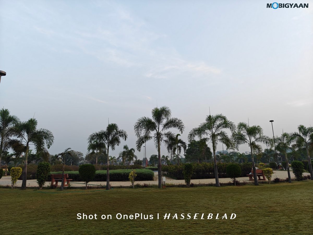 OnePlus Open Review Camera Samples 33
