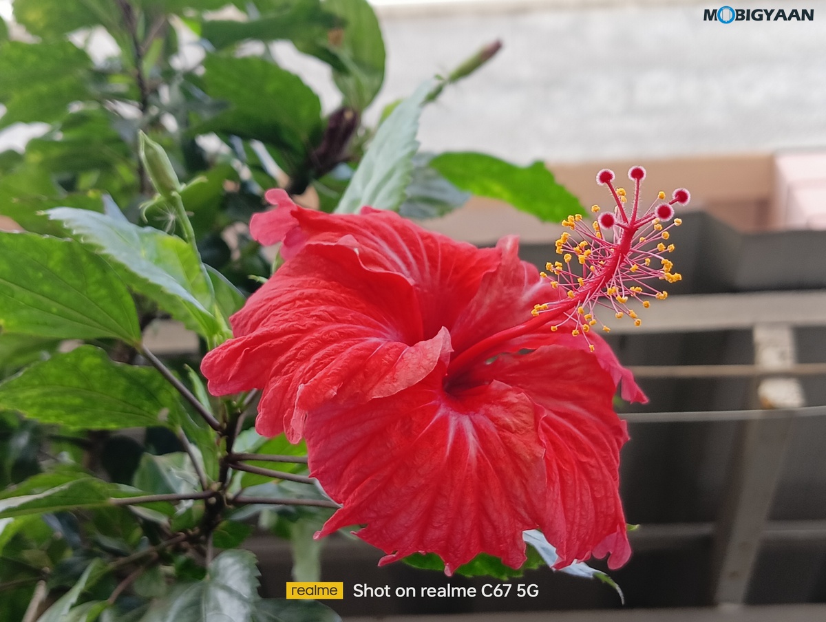 realme C67 5G Review Camera Samples 13