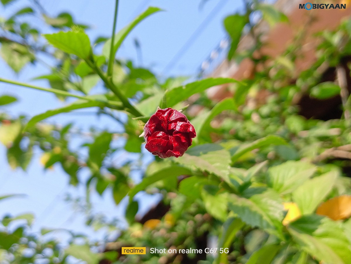 realme C67 5G Review Camera Samples 15