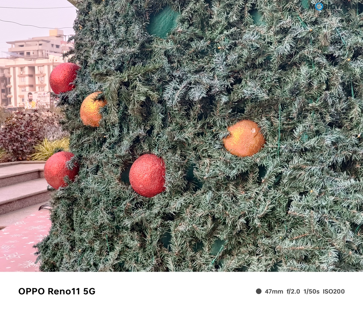 OPPO Reno11 5G Camera Samples 15