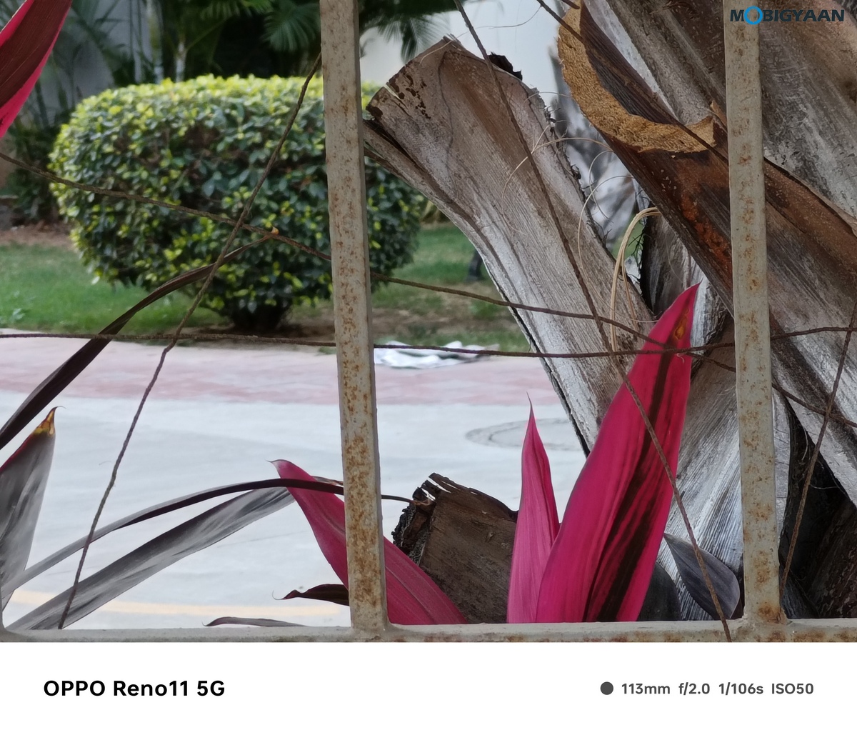 OPPO Reno11 5G Camera Samples 34