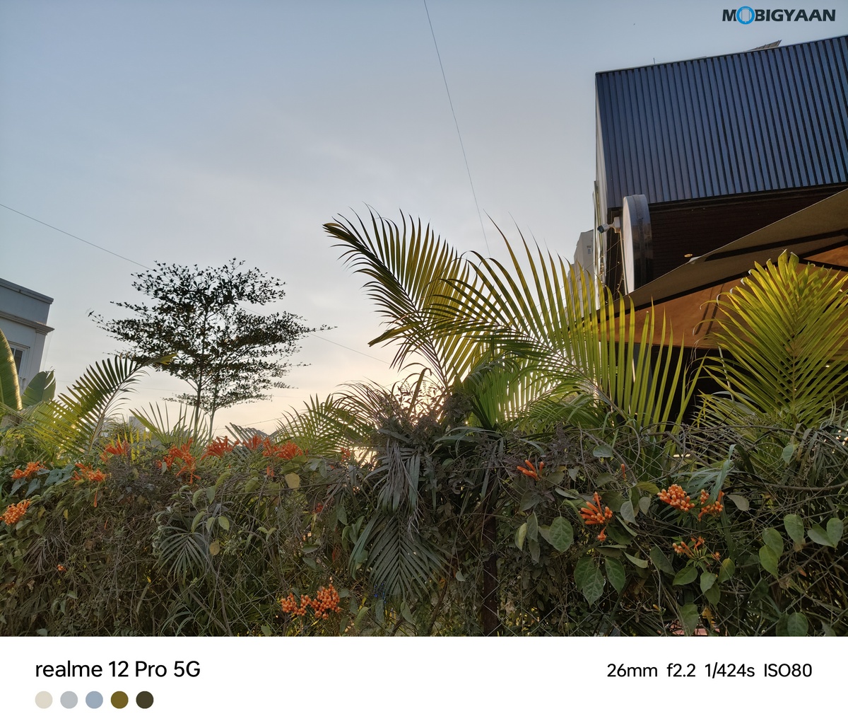 realme 12 Pro 5G Review Camera Samples 10 1