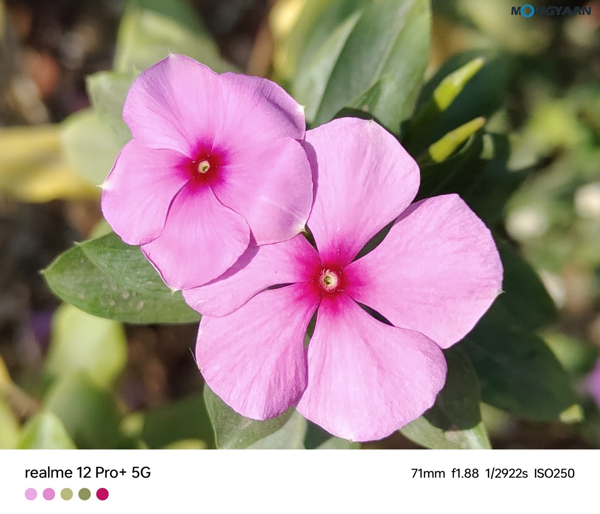 realme 12 Pro 5G Review Camera Samples 13