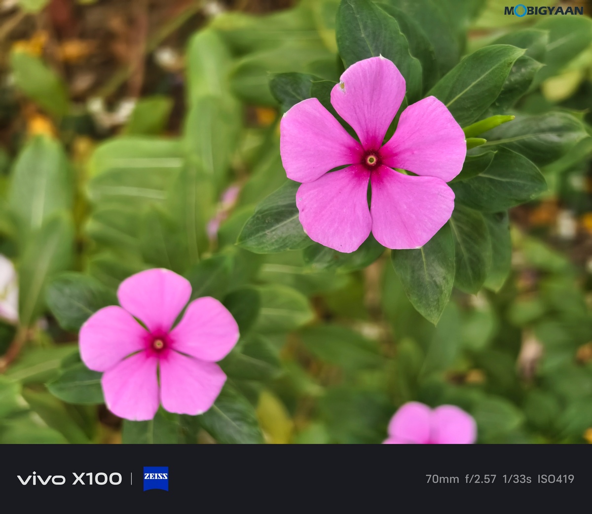 vivo X100 Review Camera Samples 13