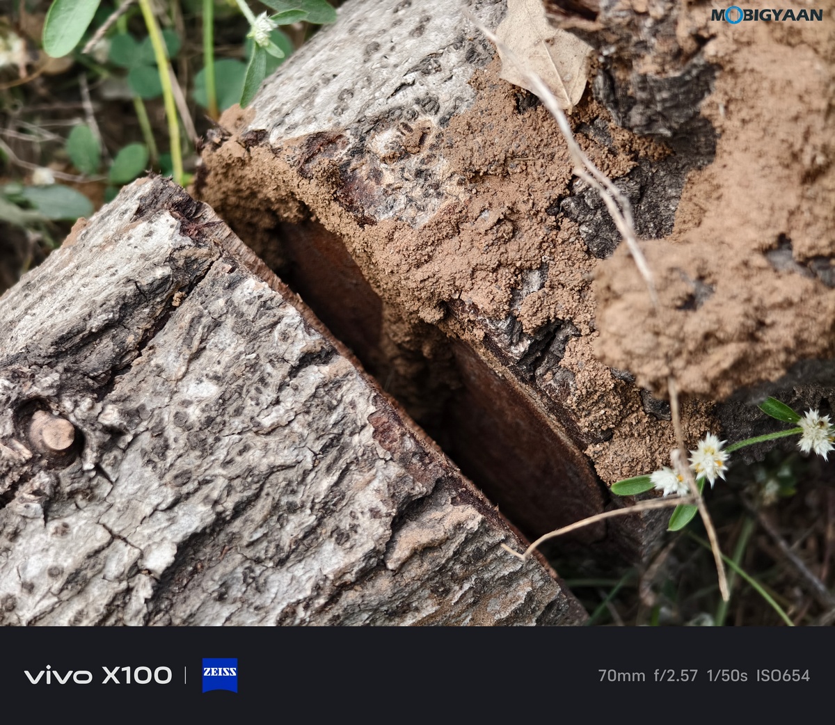 vivo X100 Review Camera Samples 17