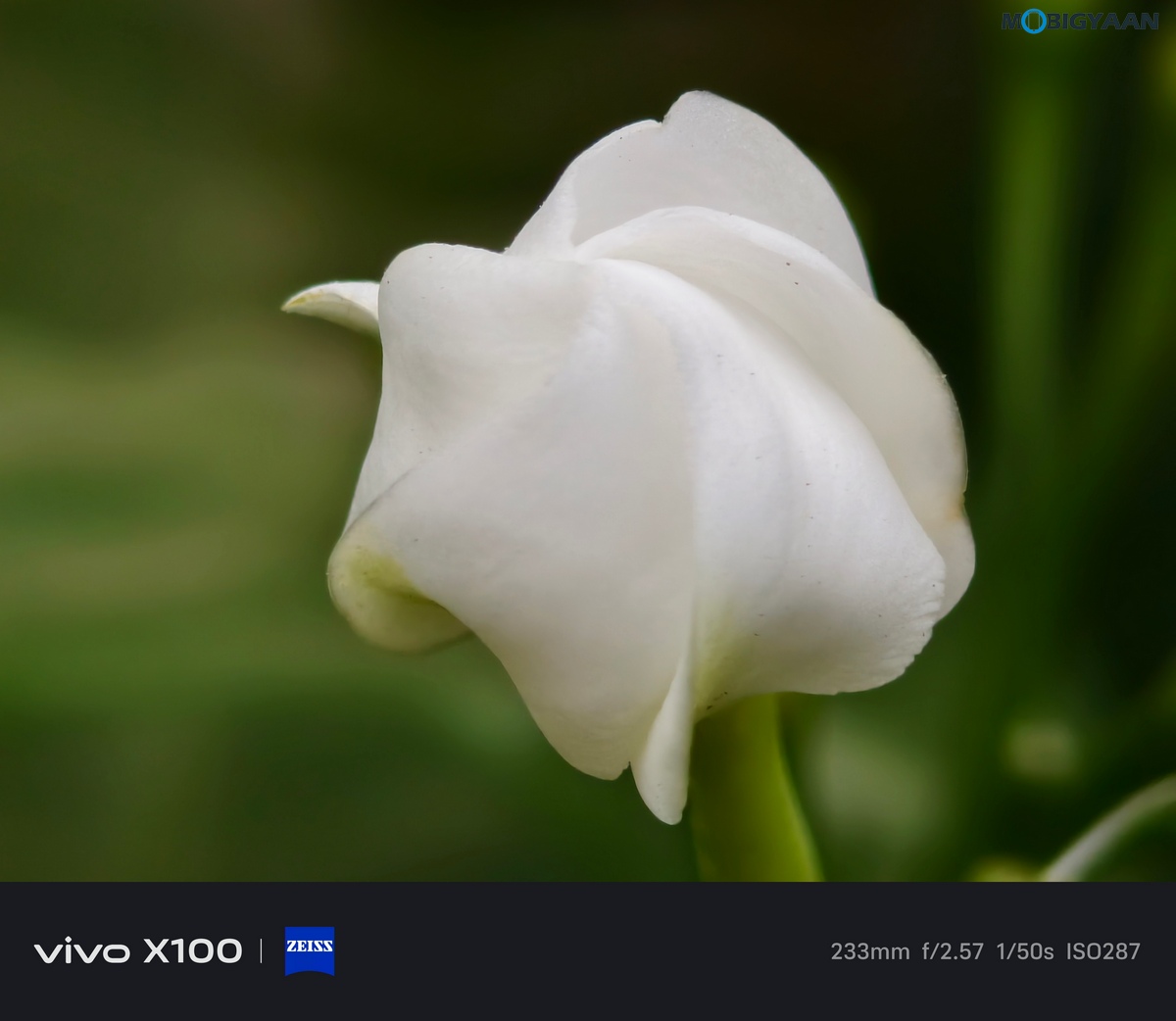 vivo X100 Review Camera Samples 2