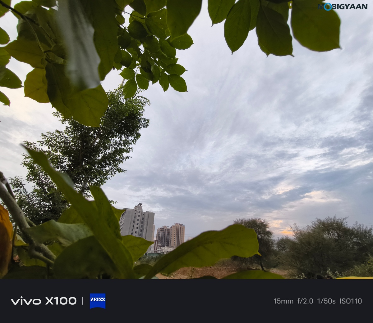 vivo X100 Review Camera Samples 21