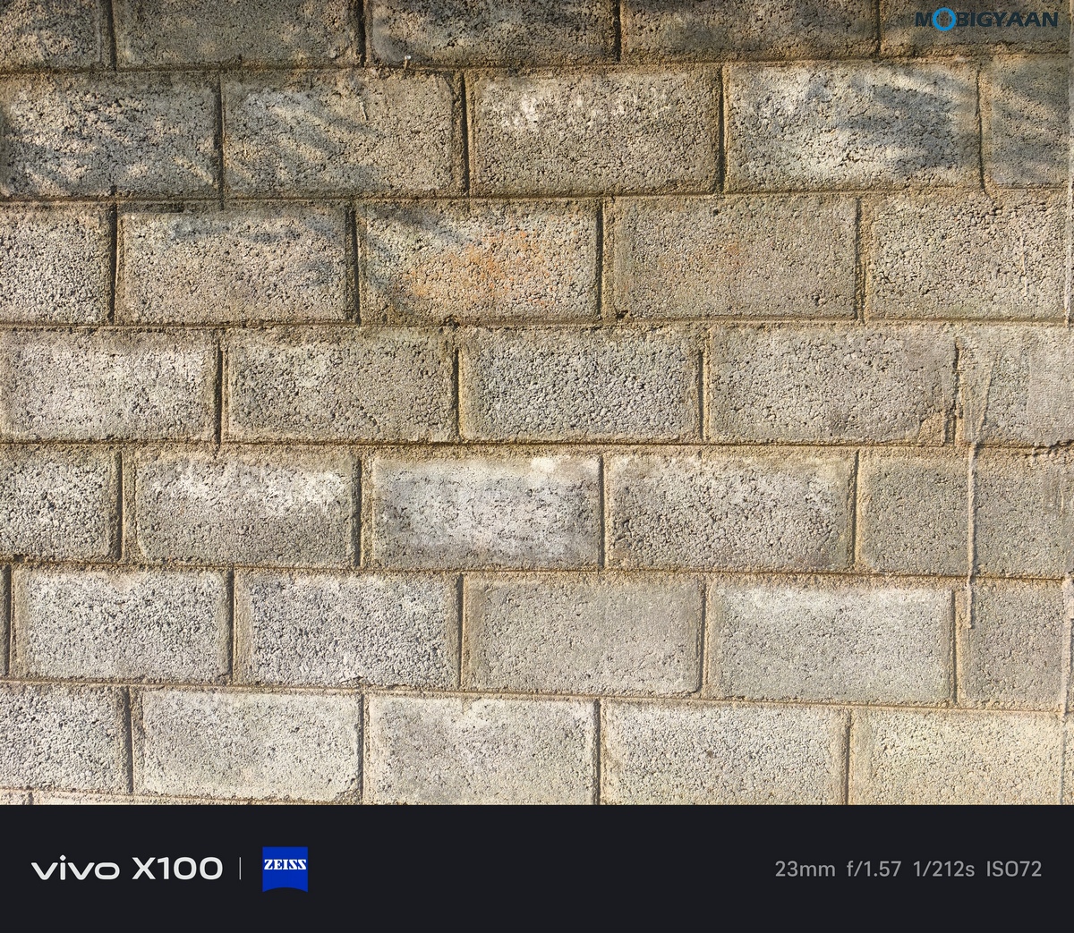 vivo X100 Review Camera Samples 36