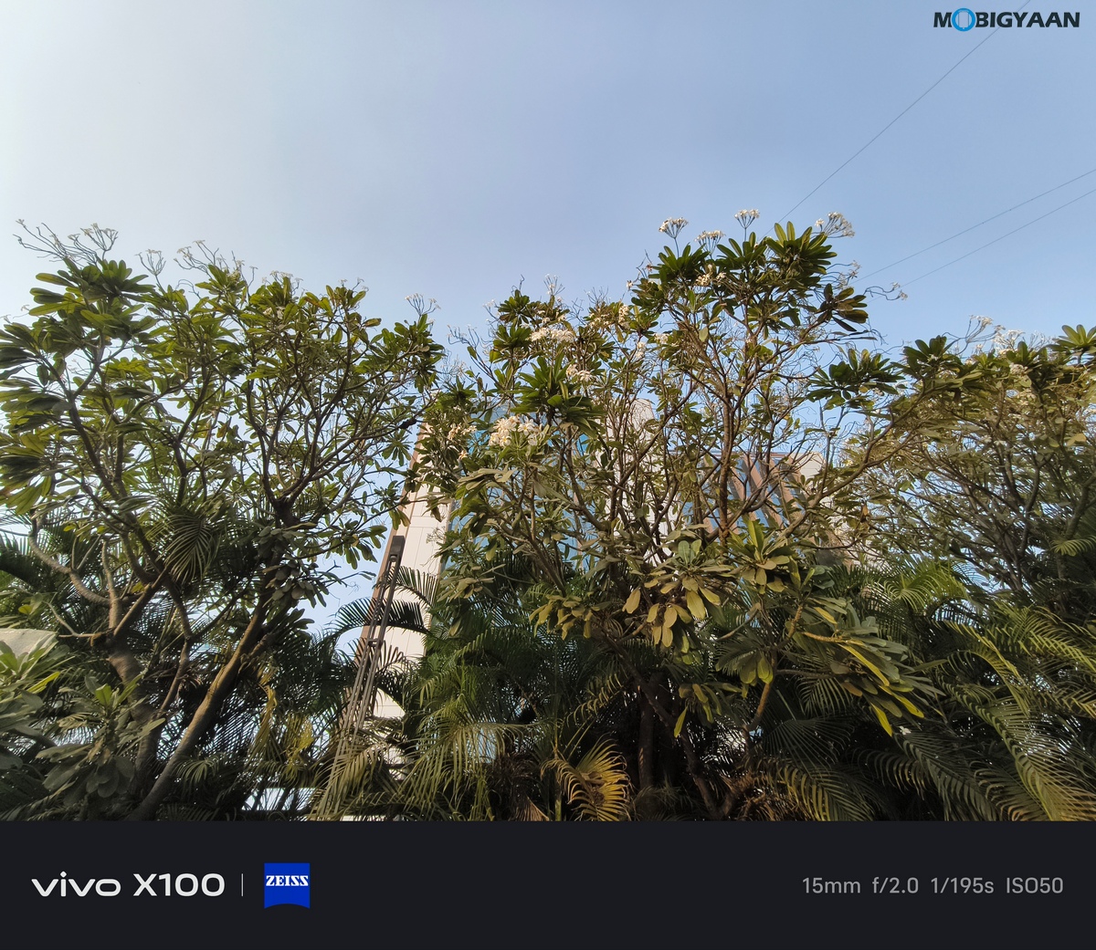 vivo X100 Review Camera Samples 44